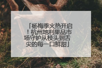 杨梅季火热开启！杭州地利果品市场守护从枝头到舌尖的每一口鲜甜
