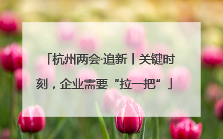 杭州两会·追新丨关键时刻，企业需要“拉一把”