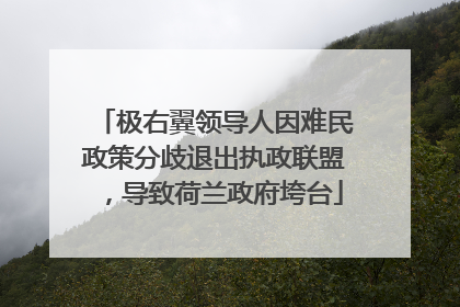 极右翼领导人因难民政策分歧退出执政联盟，导致荷兰政府垮台