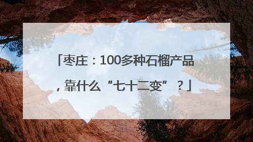 枣庄：100多种石榴产品，靠什么“七十二变”？