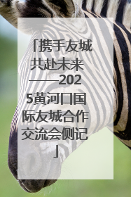 携手友城 共赴未来——2025黄河口国际友城合作交流会侧记