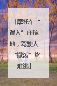 摩托车“误入”庄稼地，驾驶人“撒泼”终难逃