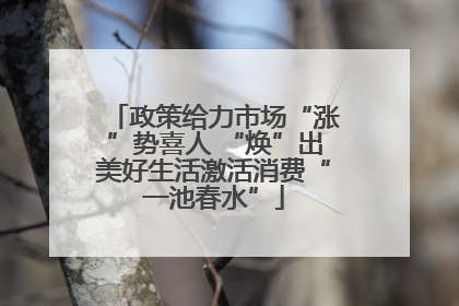 政策给力市场“涨”势喜人 “焕”出美好生活激活消费“一池春水”