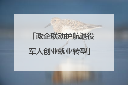 政企联动护航退役军人创业就业转型