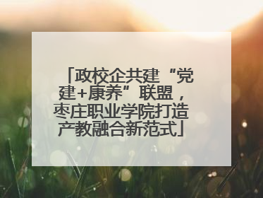 政校企共建“党建+康养”联盟，枣庄职业学院打造产教融合新范式