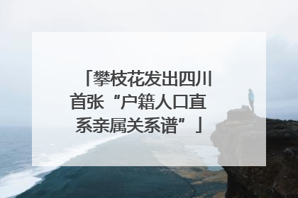攀枝花发出四川首张“户籍人口直系亲属关系谱”