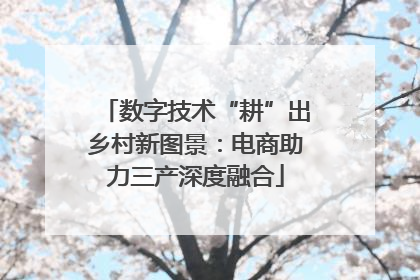 数字技术“耕”出乡村新图景：电商助力三产深度融合