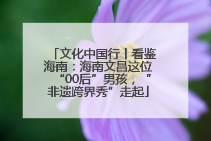 文化中国行丨看鉴海南：海南文昌这位“00后”男孩，“非遗跨界秀”走起