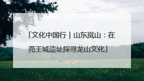 文化中国行｜山东岚山：在尧王城遗址探寻龙山文化