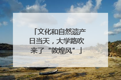 文化和自然遗产日当天，大学路吹来了“敦煌风”