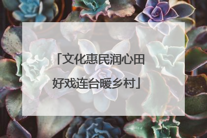 文化惠民润心田 好戏连台暖乡村