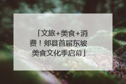 文旅+美食+消费！郏县首届东坡美食文化季启幕