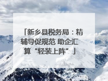 新乡县税务局：精辅导促规范 助企汇算“轻装上阵”