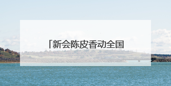 新会陈皮香动全国！皮皮宝年会落幕，「陈皮＋」三大新品引领产业升级