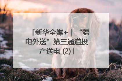 新华全媒+｜“疆电外送”第三通道投产送电 (2)