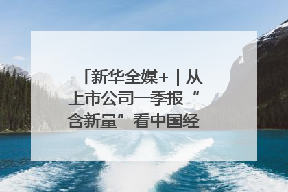 新华全媒+｜从上市公司一季报“含新量”看中国经济发展向“新”