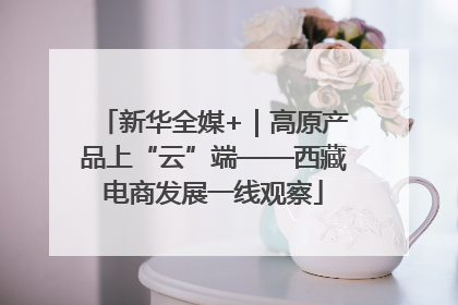 新华全媒+｜高原产品上“云”端——西藏电商发展一线观察