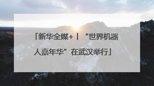 新华全媒+丨“世界机器人嘉年华”在武汉举行