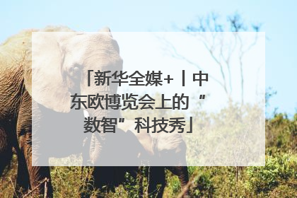 新华全媒+丨中东欧博览会上的“数智”科技秀