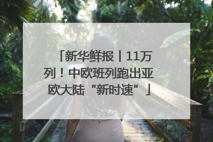 新华鲜报丨11万列！中欧班列跑出亚欧大陆“新时速”