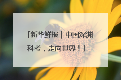 新华鲜报｜中国深渊科考，走向世界！