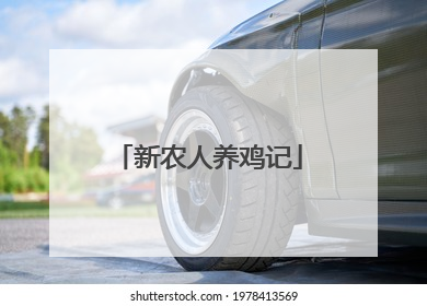 新农人养鸡记