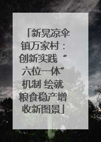 新晃凉伞镇万家村：创新实践“六位一体”机制 绘就粮食稳产增收新图景