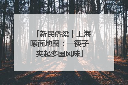 新民侨梁｜上海嗦面地图：一筷子夹起多国风味