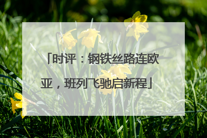 时评：钢铁丝路连欧亚，班列飞驰启新程
