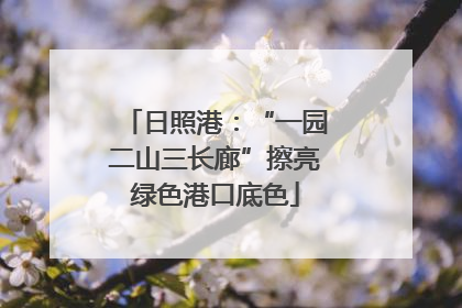 日照港：“一园二山三长廊”擦亮绿色港口底色