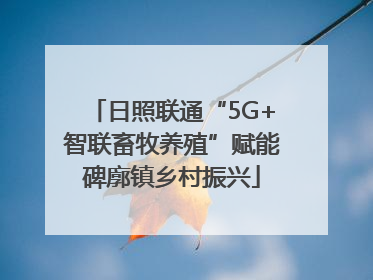 日照联通“5G+智联畜牧养殖”赋能碑廓镇乡村振兴