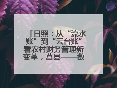 日照：从“流水账”到“云台账”看农村财务管理新变革，莒县——数字赋能激活乡村振兴“一池春水”
