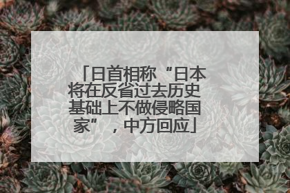 日首相称“日本将在反省过去历史基础上不做侵略国家”，中方回应