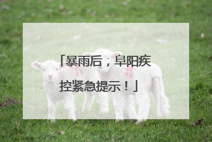 暴雨后，阜阳疾控紧急提示！