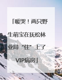 暖哭！两只野生萌宝在抚松林业局“住”上了VIP病房