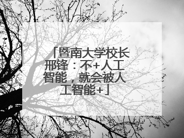 暨南大学校长邢锋：不+人工智能，就会被人工智能+