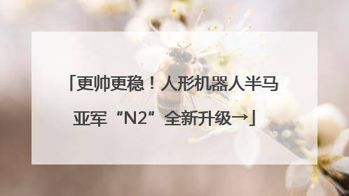 更帅更稳！人形机器人半马亚军“N2”全新升级→