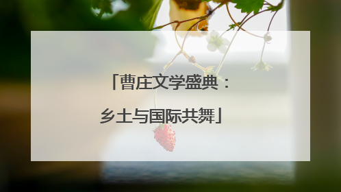曹庄文学盛典：乡土与国际共舞