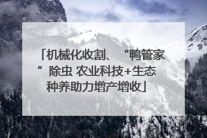 机械化收割、“鸭管家”除虫 农业科技+生态种养助力增产增收