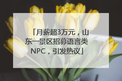 月薪超3万元，山东一景区招募语言类NPC，引发热议
