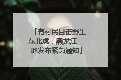 有村民目击野生东北虎，黑龙江一地发布紧急通知