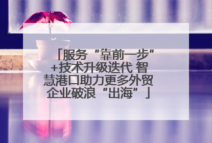 服务“靠前一步”+技术升级迭代 智慧港口助力更多外贸企业破浪“出海”