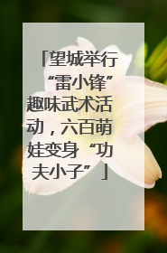 望城举行“雷小锋”趣味武术活动，六百萌娃变身“功夫小子”