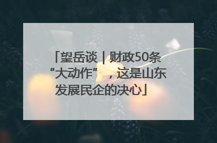 望岳谈｜财政50条“大动作”，这是山东发展民企的决心