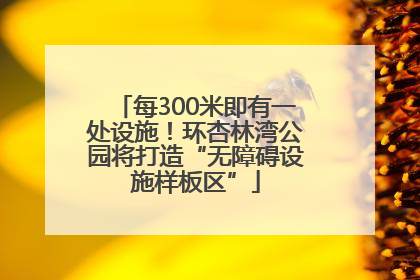 每300米即有一处设施！环杏林湾公园将打造“无障碍设施样板区”