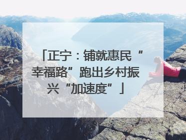 正宁：铺就惠民“幸福路”跑出乡村振兴“加速度”