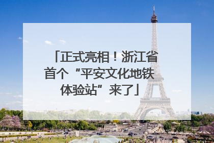 正式亮相！浙江省首个“平安文化地铁体验站”来了