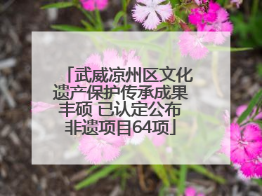 武威凉州区文化遗产保护传承成果丰硕 已认定公布非遗项目64项