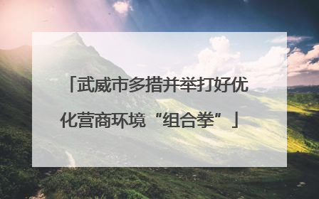 武威市多措并举打好优化营商环境“组合拳”