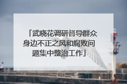 武晓花调研督导群众身边不正之风和腐败问题集中整治工作